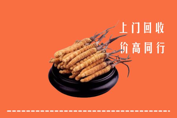 高价求购：铜仁市万山区回收散虫草