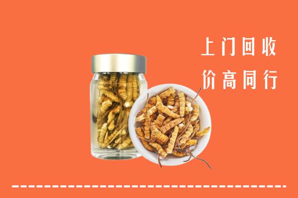 铜仁市万山区回收冬虫夏草