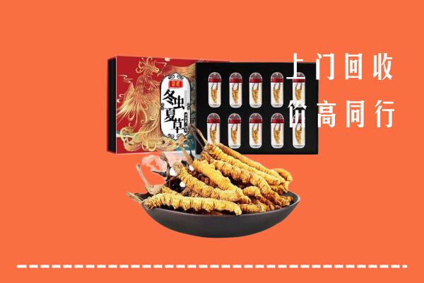 铜仁市万山区回收虫草